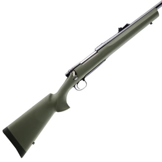 Hogue Canada - Remington 700 BDL Det Mag S/A Heavy Barrel Full Length Bed Block OD Green